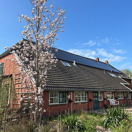 Hoeve Veganza B&B Vlagtwedde Dış mekan fotoğraf