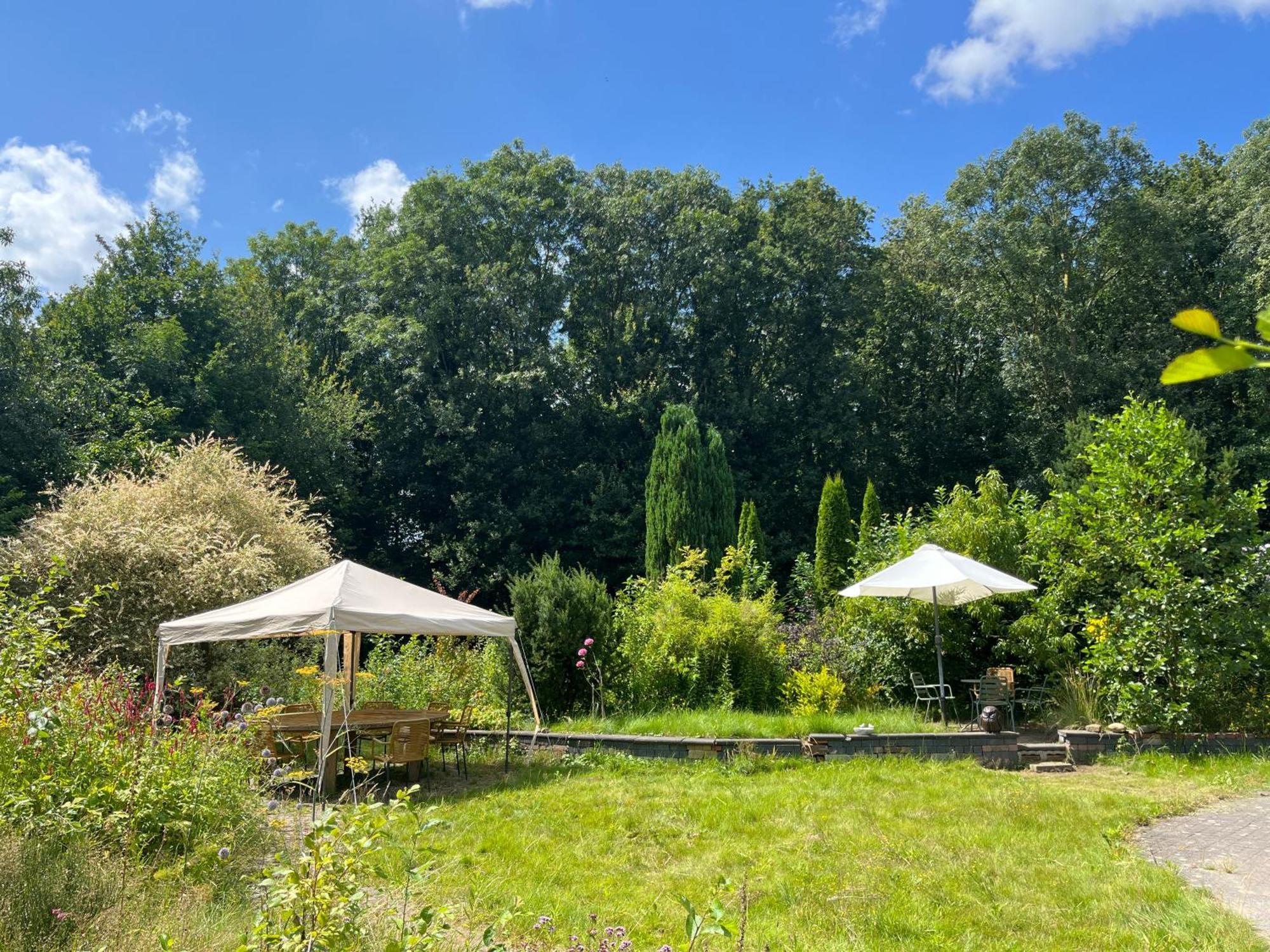 Hoeve Veganza B&B Vlagtwedde Dış mekan fotoğraf