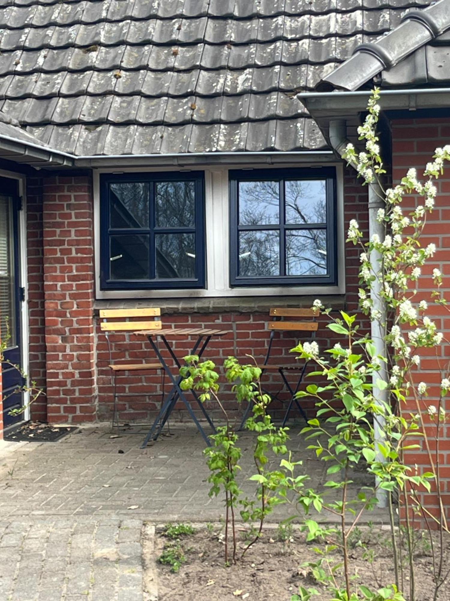 Hoeve Veganza B&B Vlagtwedde Dış mekan fotoğraf