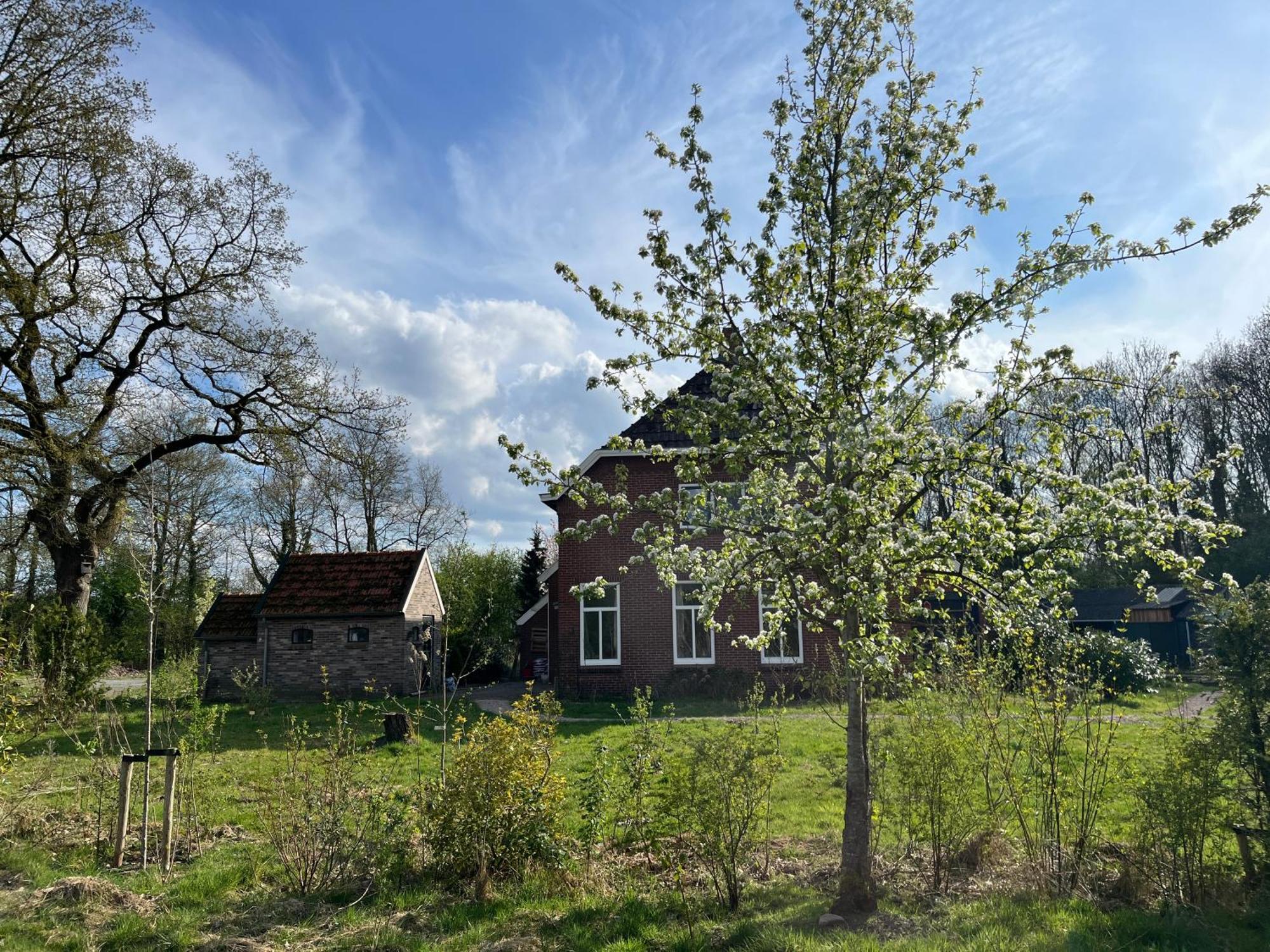 Hoeve Veganza B&B Vlagtwedde Dış mekan fotoğraf