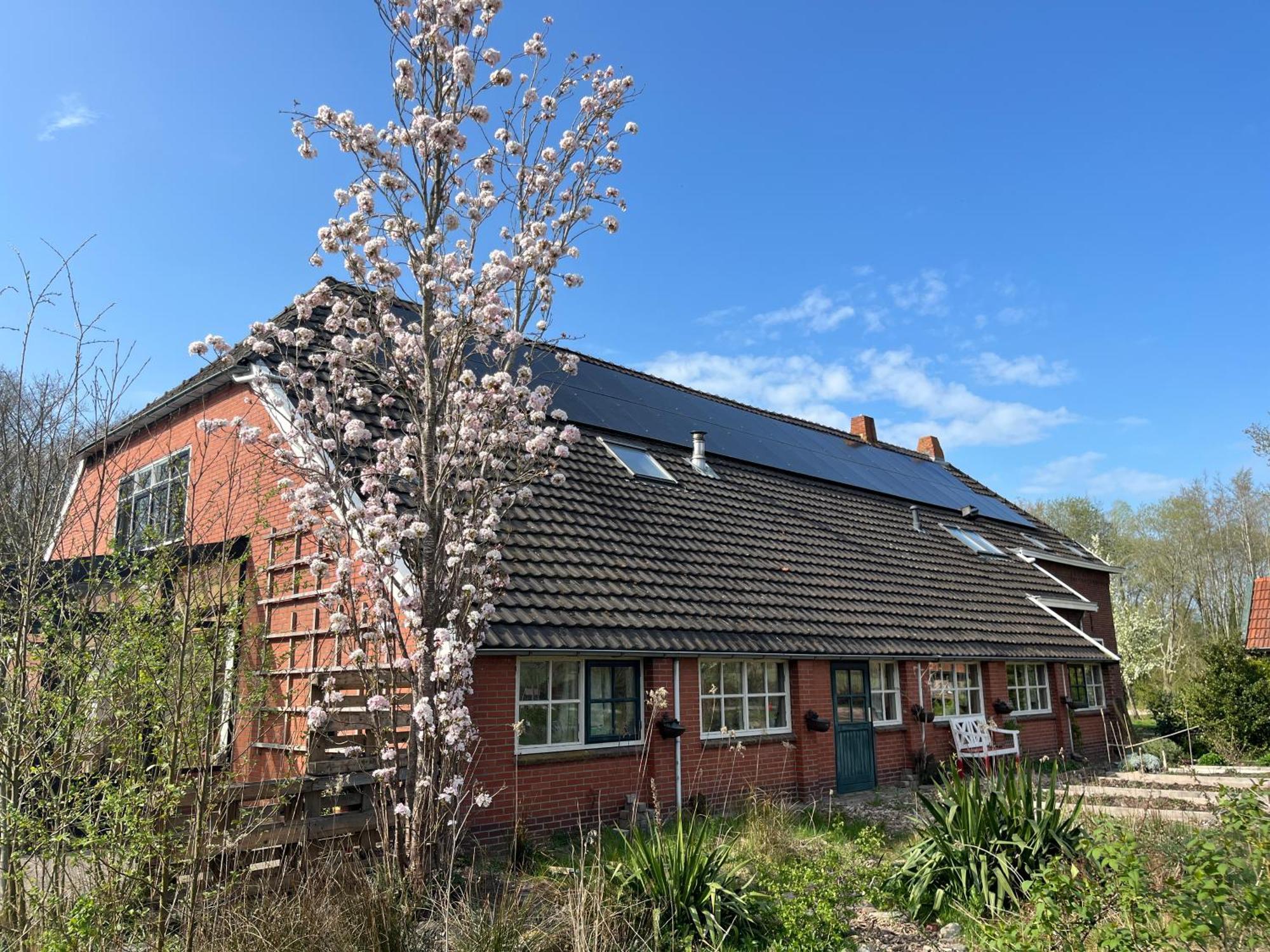 Hoeve Veganza B&B Vlagtwedde Dış mekan fotoğraf